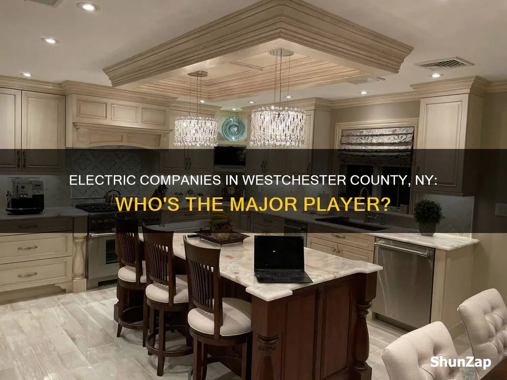 what major electric company services westchester county ny