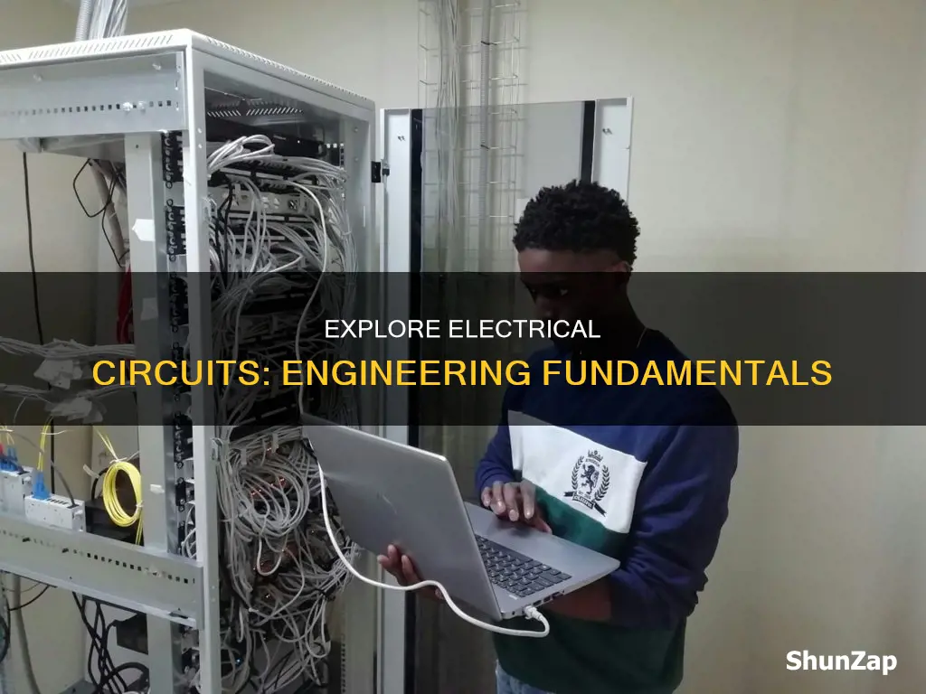 what major teaches you about electral circuits