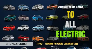 Which Car Brands Are Fully Transitioning to Electric Vehicles?