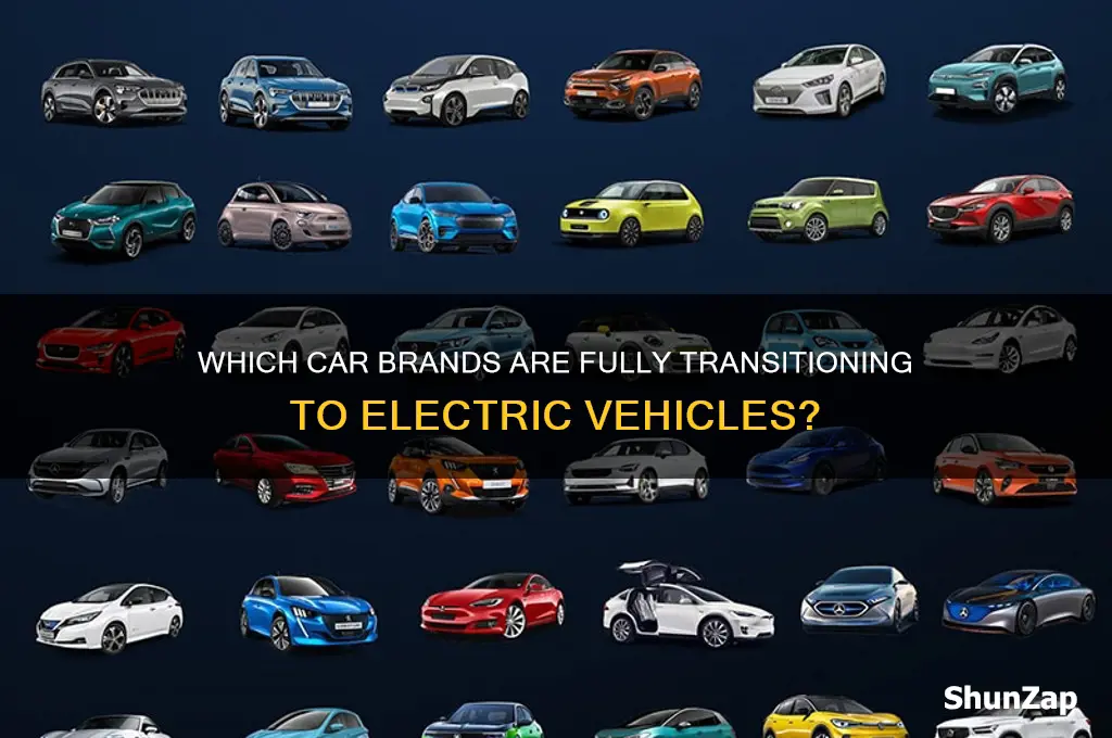 what make of car is going to all electric