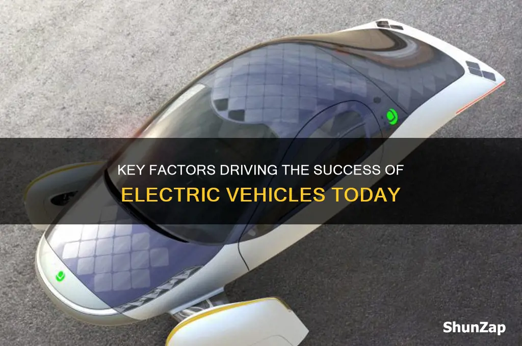 what makes an electric car sccessful