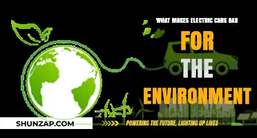 Electric Cars' Environmental Impact: Hidden Costs and Sustainability Concerns