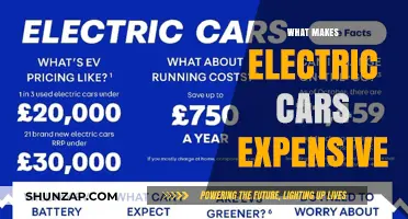 Why Electric Cars Cost More: Key Factors Driving High Prices