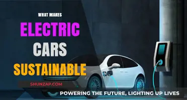 Why Electric Cars Are a Sustainable Transportation Choice for the Future
