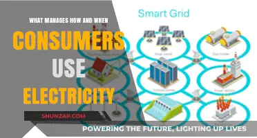 Smart Grids and Consumer Behavior: Managing Electricity Usage Efficiently