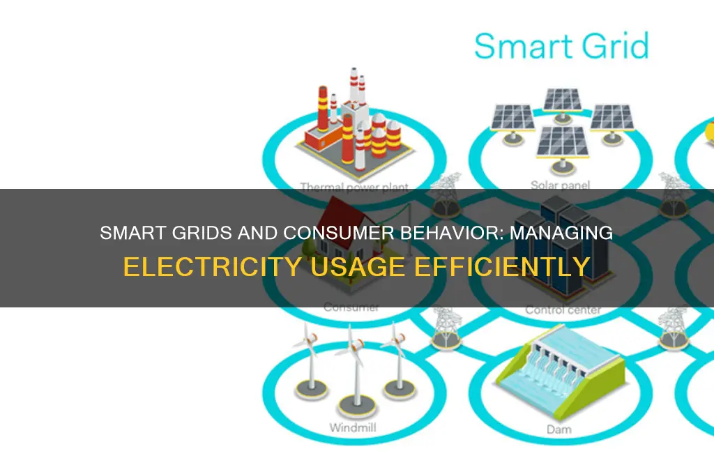 what manages how and when consumers use electricity