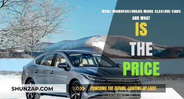 Top Electric Car Manufacturers and Their Price Ranges Revealed