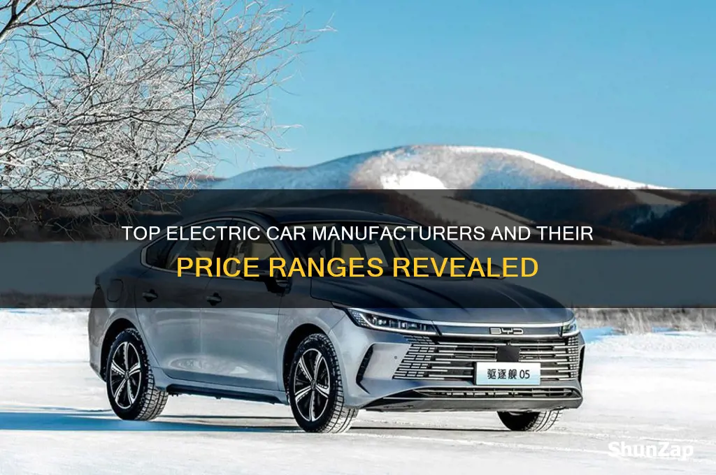 what manufacturers make electric cars and what is the price