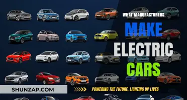Top Electric Car Manufacturers Shaping the Future of Green Transportation