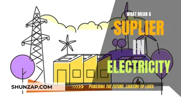 Electricity Suppliers: Who Are They and What Do They Do?