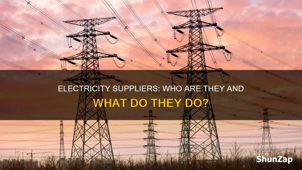 what mean a suplier in electricity