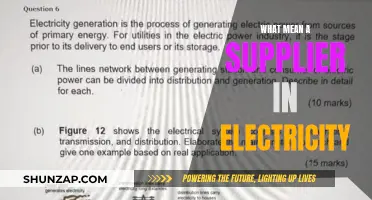Electricity Suppliers: Who Are They and What Do They Do?