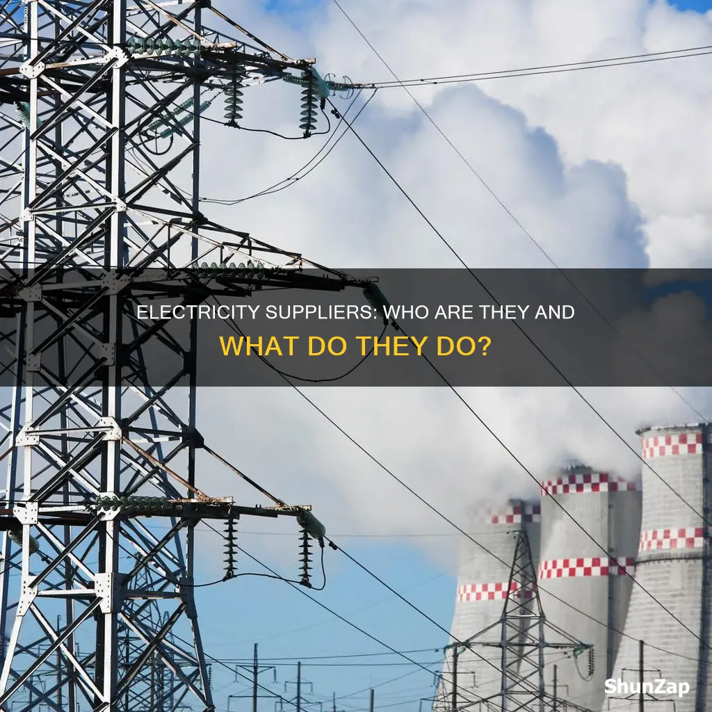 what mean a supplier in electricity