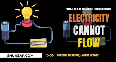 Electricity's Foes: Materials That Block Current Flow
