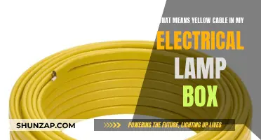 Electrical Lamp Box: What's the Deal with Yellow Cables?