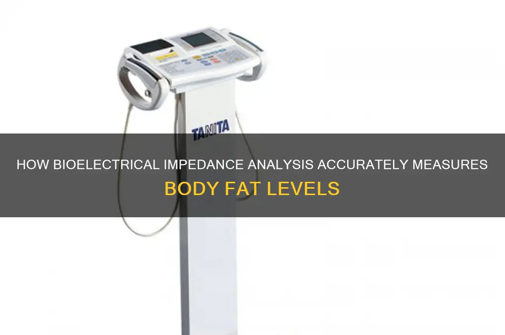 what measures body fat using electrical currents