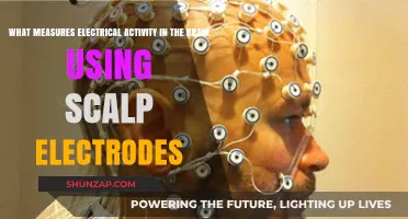 Measuring Brain Electrical Activity with Scalp Electrodes: EEG Explained