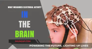 Brain Activity: Measuring Electrical Patterns