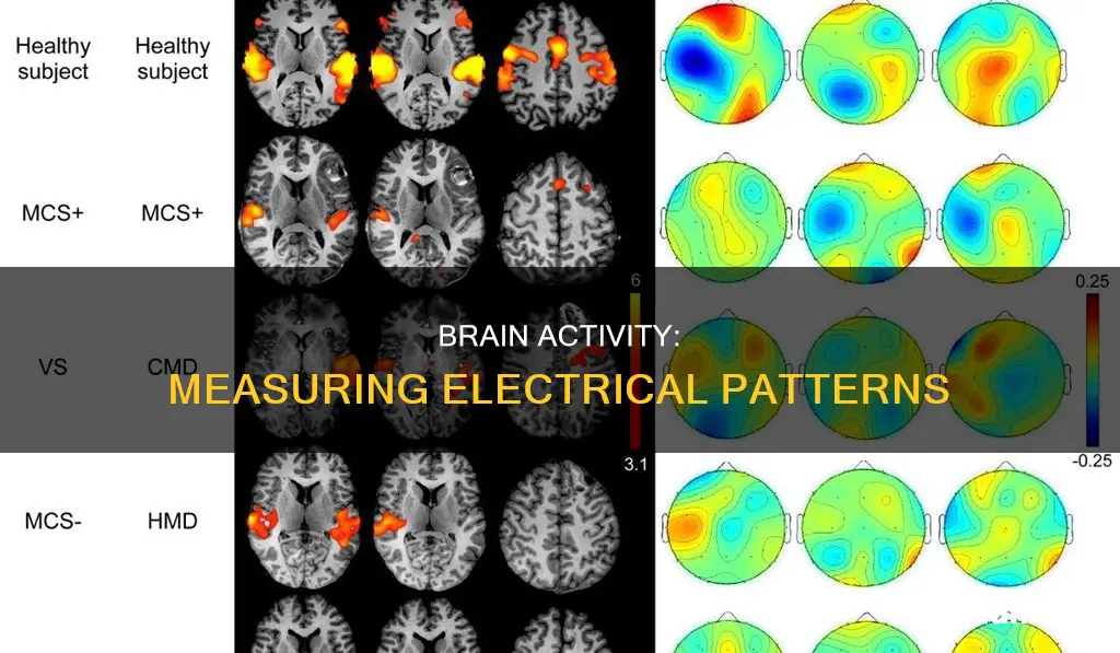 what measures electrical activity in the brain