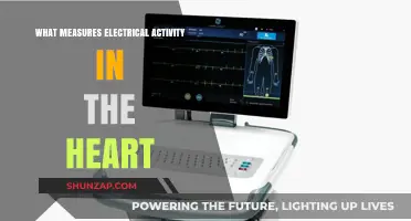 Heart Monitoring: Electrical Activity Measurement