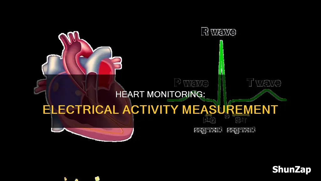 what measures electrical activity in the heart