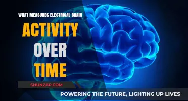 Brain Activity Mapping: Understanding Electrical Patterns
