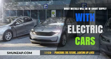 Electric Vehicle Boom: Which Metals Face Imminent Shortages?