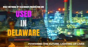 Delaware's Diverse Electricity Production Methods: A Comprehensive Overview