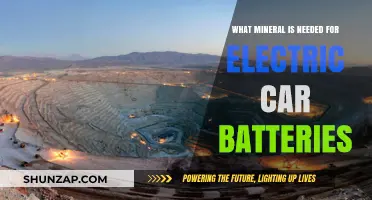 Essential Minerals Powering Electric Car Batteries: What You Need to Know