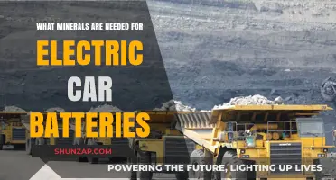 Essential Minerals Powering Electric Car Batteries: A Comprehensive Guide