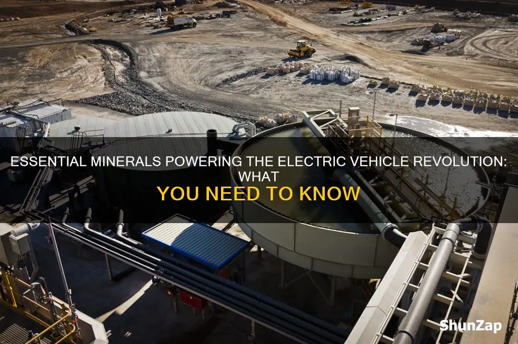 what minerals are needed for electric cars