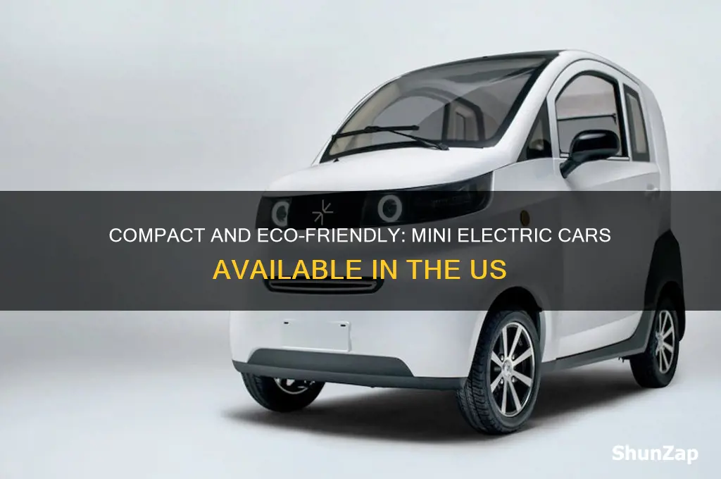 what mini electric cars are available in the us