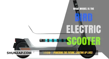 Bird Electric Scooter: Which Model is it?