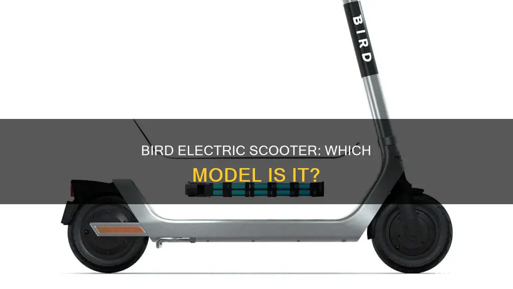 what model is the bird electric scooter