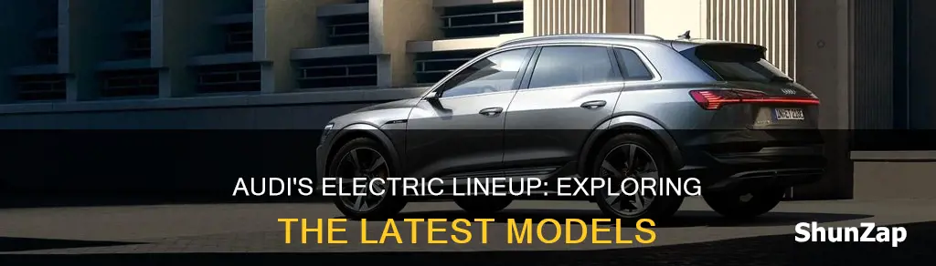 what model is the new electric audi