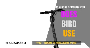 Bird's Electric Scooter Models: Unveiling Their Preferred Fleet Choices