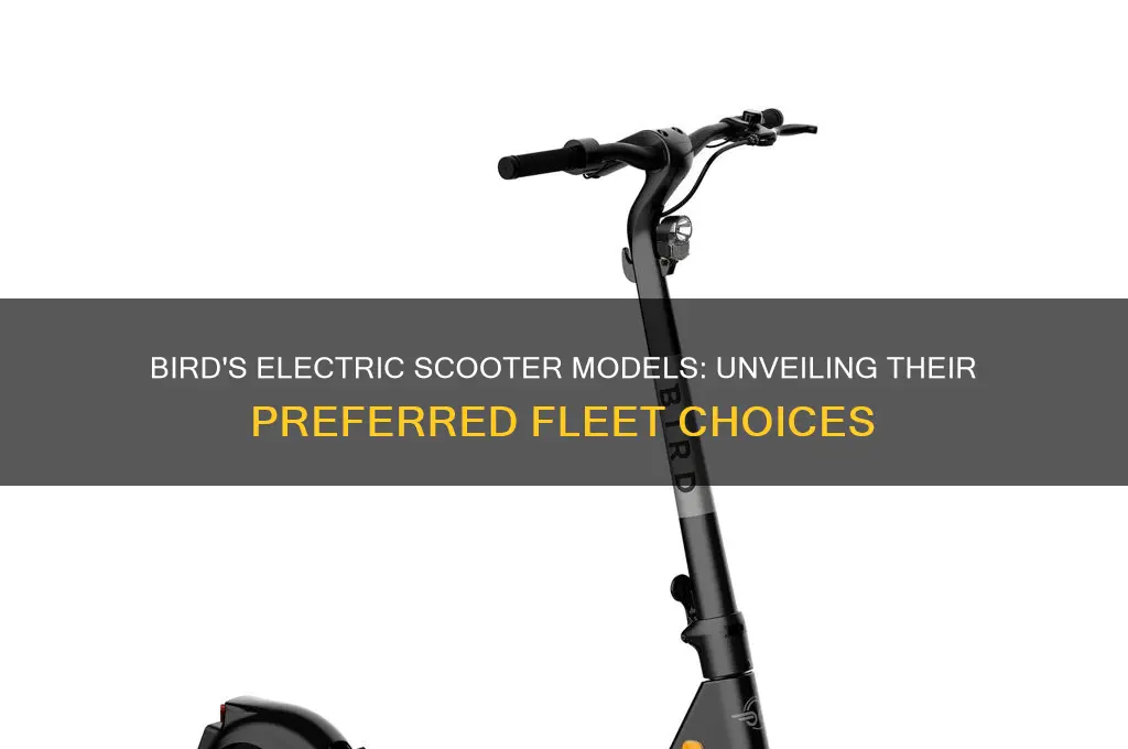 what model of electric scooters does bird use