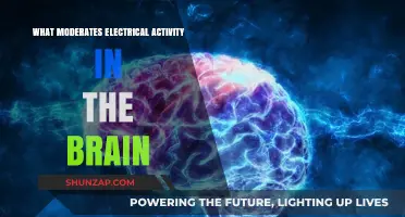 Brain's Electrical Activity: The Moderating Factors