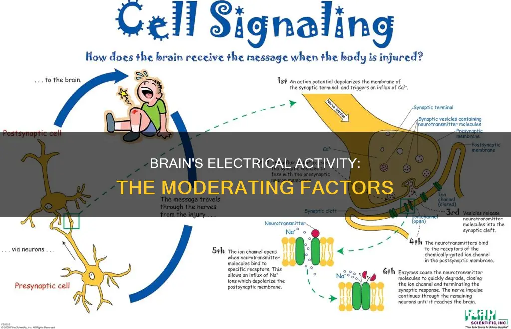 what moderates electrical activity in the brain