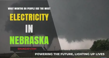 Nebraska's Peak Power Usage: When Do Residents Consume the Most Electricity?