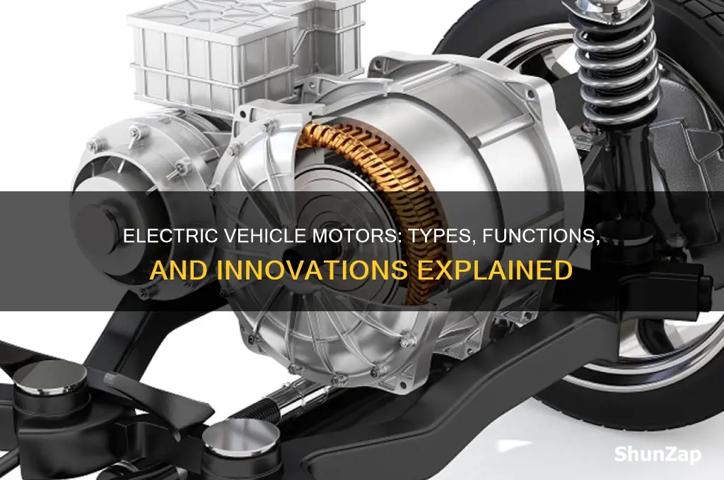 what motors are used in electric vehicles