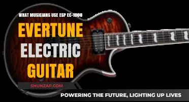 ESP EC-1000 EverTune: Musicians Who Rock This Guitar