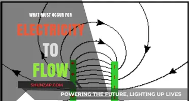 Electricity Flow: Understanding the Circuit's Power Dynamic