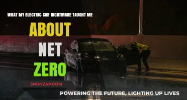 Electric Car Nightmare: Lessons Learned on the Road to Net Zero
