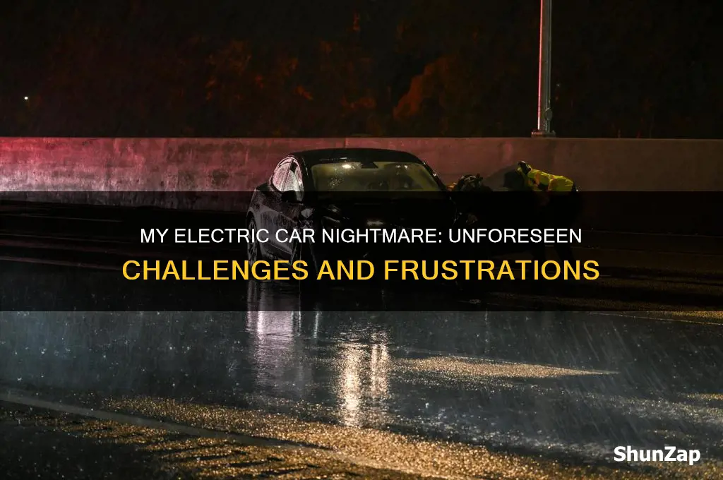 what my electric car nightmare