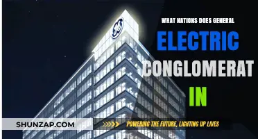 General Electric's Global Footprint: Nations and Conglomerates
