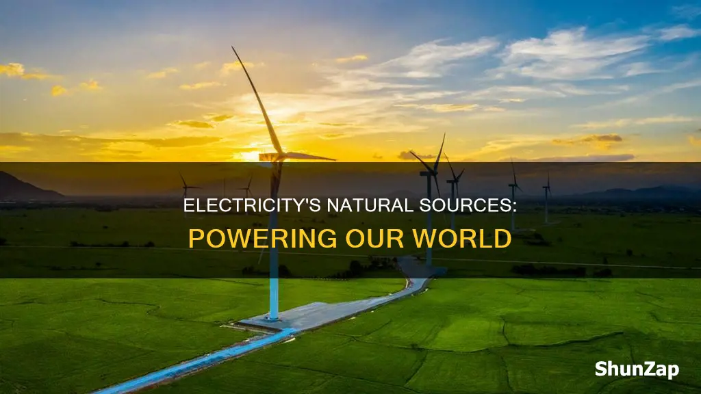 what natural resource does electricity come from
