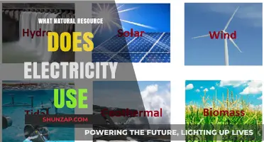 Electricity's Power Source: Exploring the Natural Resources Behind Energy Generation