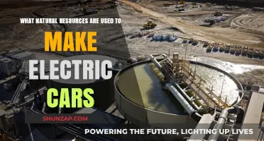 Natural Resources Powering Electric Cars: From Lithium to Rare Earths