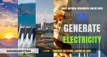 Harnessing Nature's Power: Exploring Renewable Resources for Electricity Generation